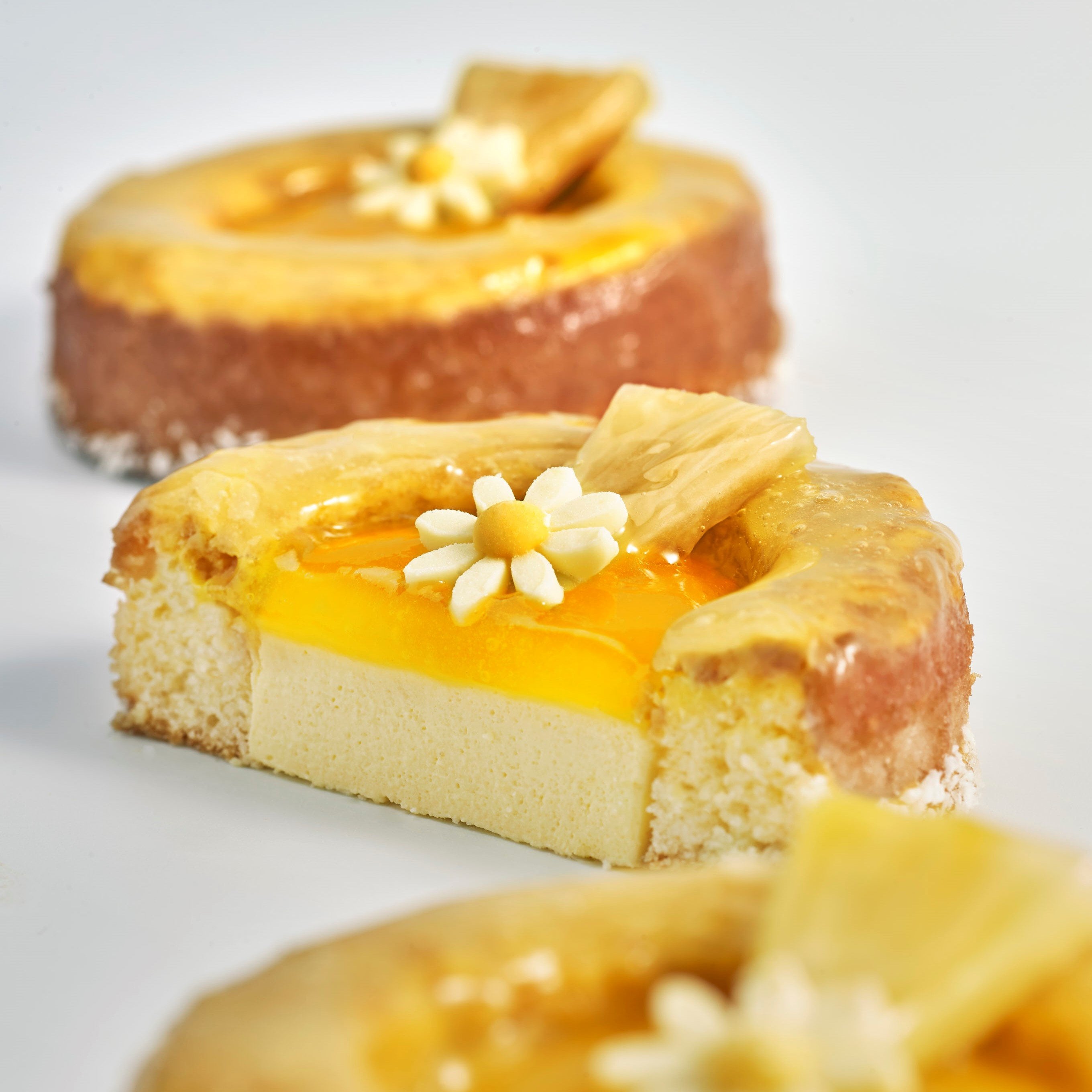 EXOTIC TRAVEL CAKE
